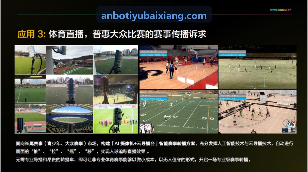 支链氨基酸代谢动力学研究